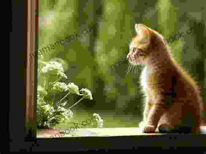 A Cat Perched On A Windowsill, Its Gaze Fixed On The World Outside, A Mixture Of Curiosity And Serenity In Its Eyes Sincerely Your Cat