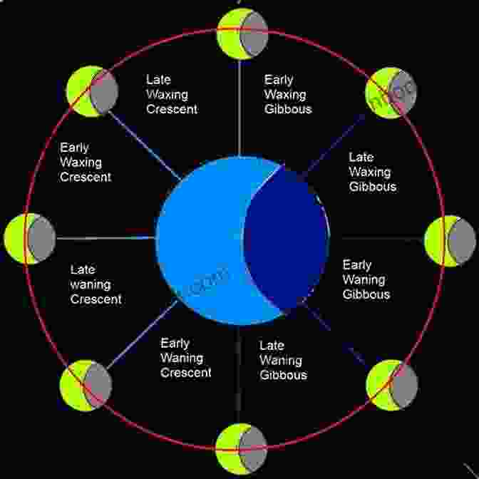 A Diagram Illustrating The Different Moon Phases And Their Effects On Plant Growth Trinidad And Tobago Moon Gardening Calendar 2024