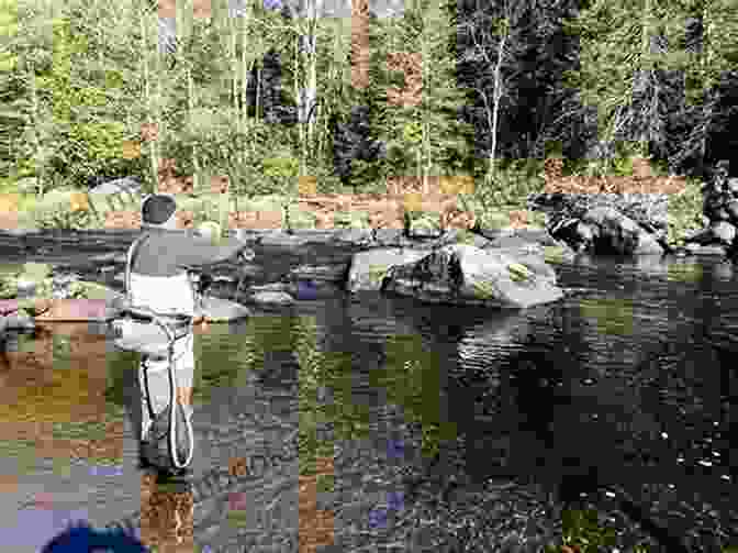 An Angler Casts A Dry Fly Into The West Branch Of The Ausable River, Surrounded By Lush Vegetation. Fly Fishing The West Branch Of The Ausable River