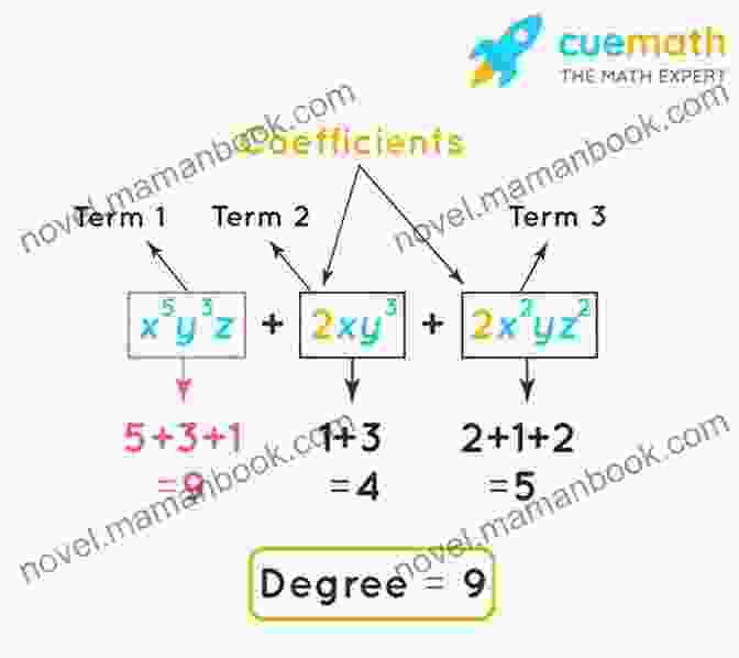 Diagram Representing A Polynomial Equation Y = X^3 2x^2 + X 1 Algebraic Equations: Speedy Study Guides (Edition 1)