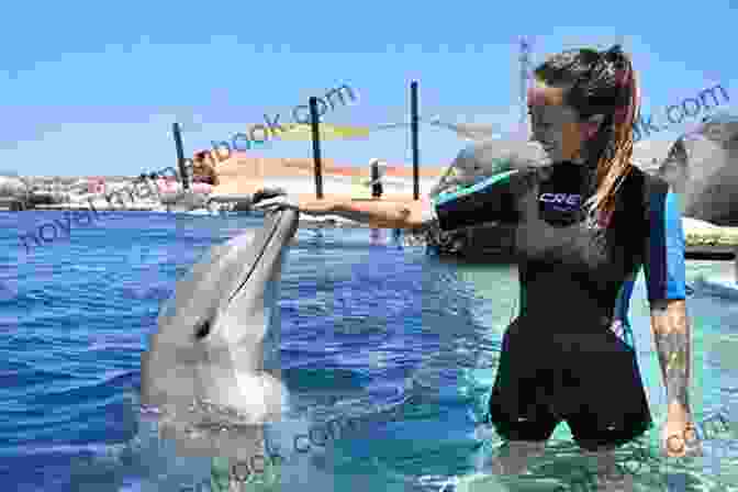 Image Of Swimmers Interacting With Dolphins In The Gulf Of Mexico Lost Key (Shark Key Adventures 1)