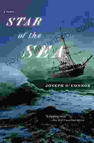 Star Of The Sea: A Novel